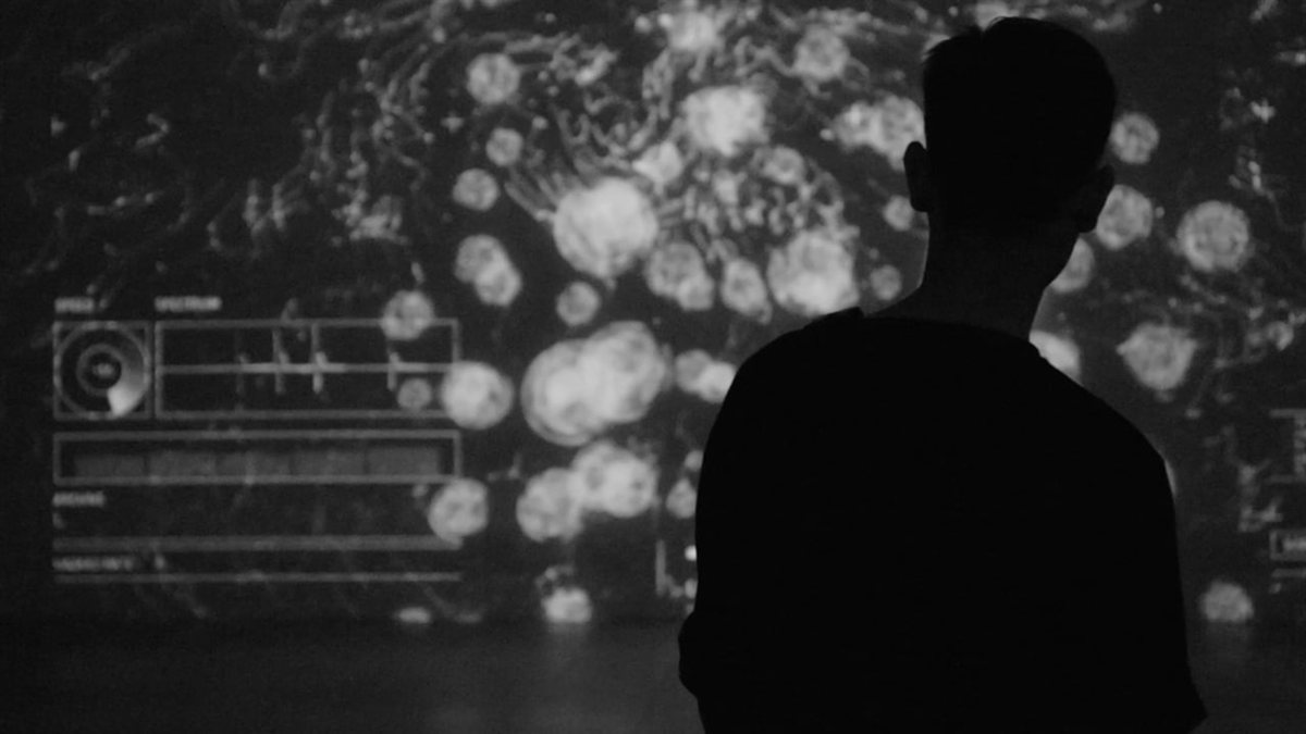 cosmos